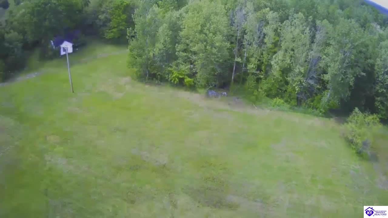 Listing Picture 15709 S Highway 259 Leitchfield, KY 42754 MLS HK25001729