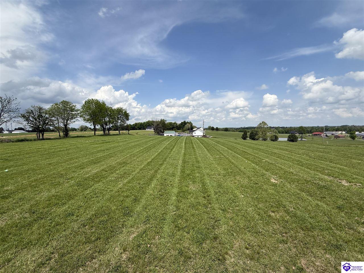 135 Charley Kree LaneClarkson, KY 42726