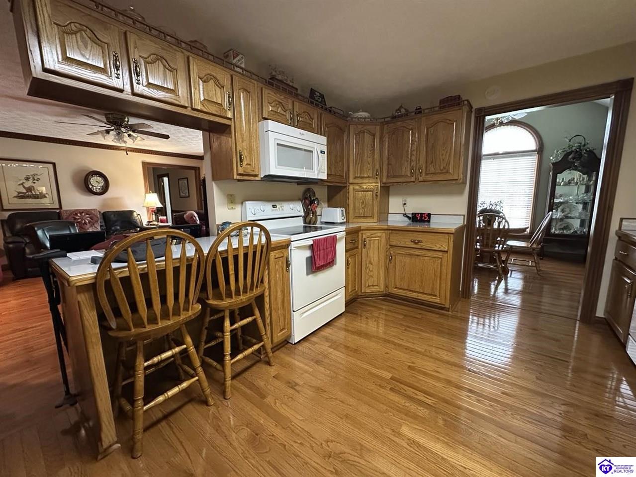 Listing Picture 615 Forest Hills Drive Campbellsville, KY 42718 MLS HK25001739