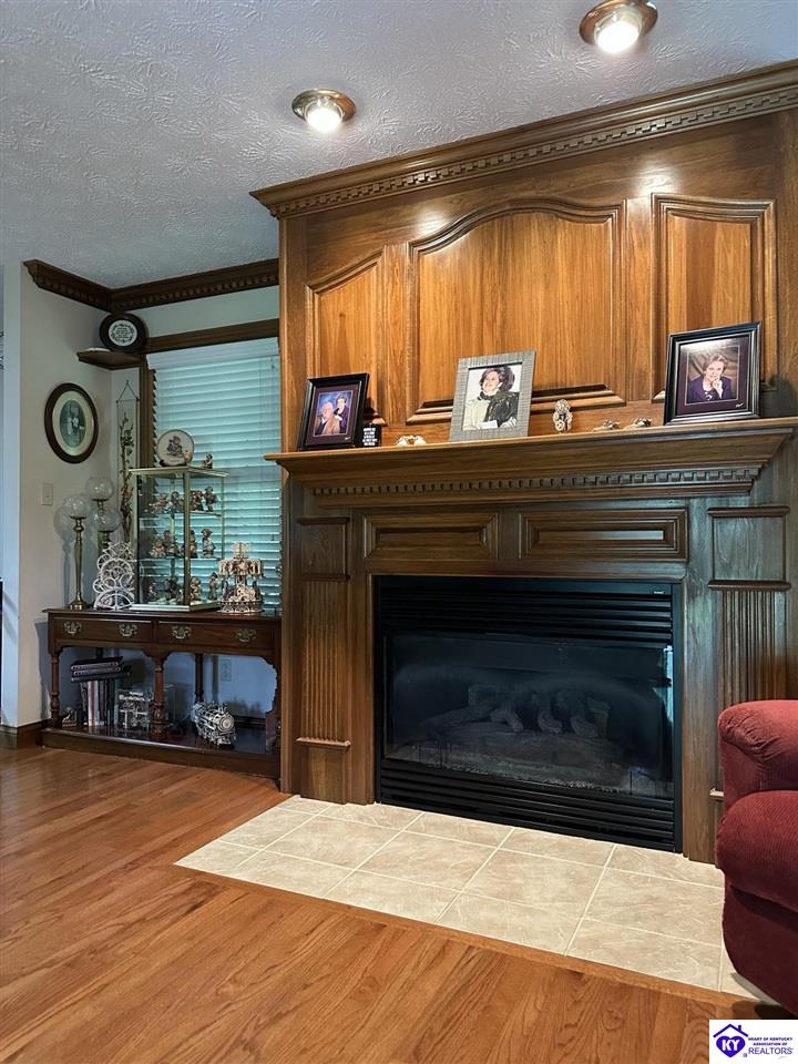 Listing Picture 615 Forest Hills Drive Campbellsville, KY 42718 MLS HK25001739