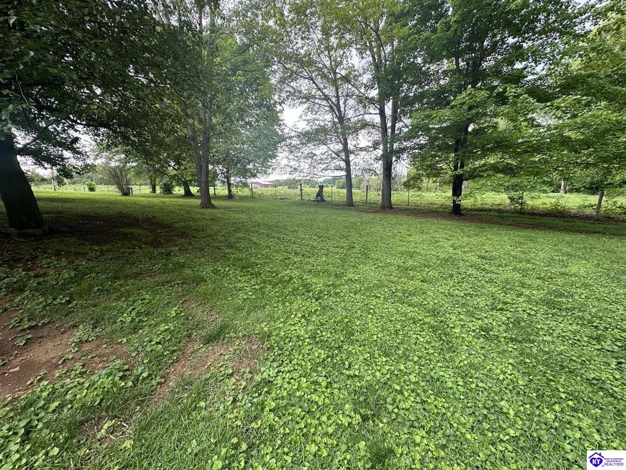 Listing Picture 615 Forest Hills Drive Campbellsville, KY 42718 MLS HK25001739