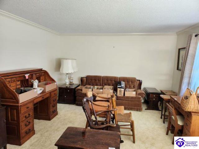 Listing Picture 3345 New Glendale Road Elizabethtown, KY 42701 MLS HK25001754