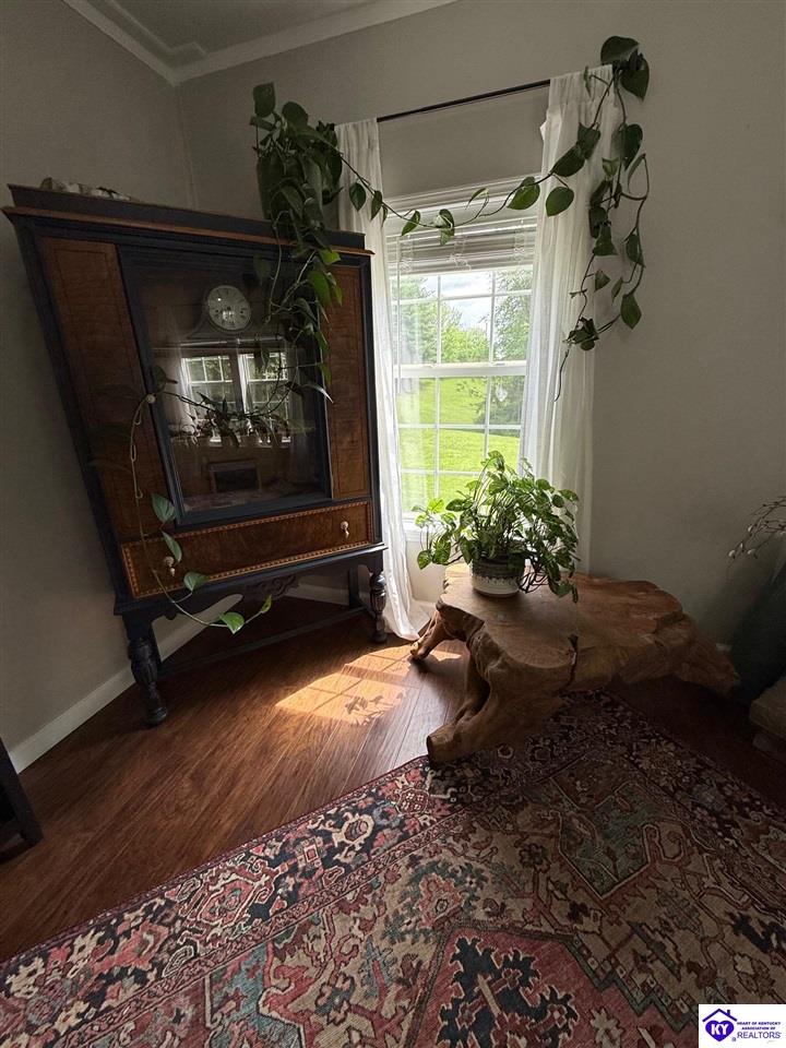 Listing Picture 12781 Hodgenville Road Campbellsville, KY 42718 MLS HK25001755