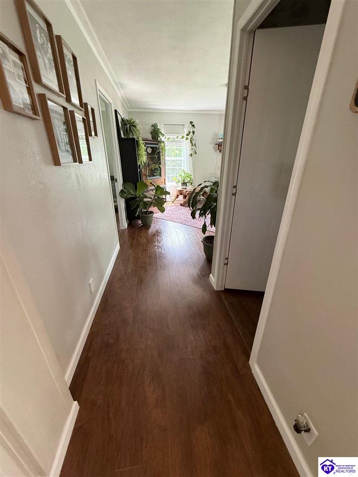 Listing Picture 12781 Hodgenville Road Campbellsville, KY 42718 MLS HK25001755