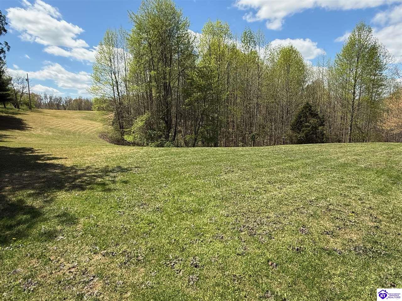 Listing Picture 12781 Hodgenville Road Campbellsville, KY 42718 MLS HK25001755