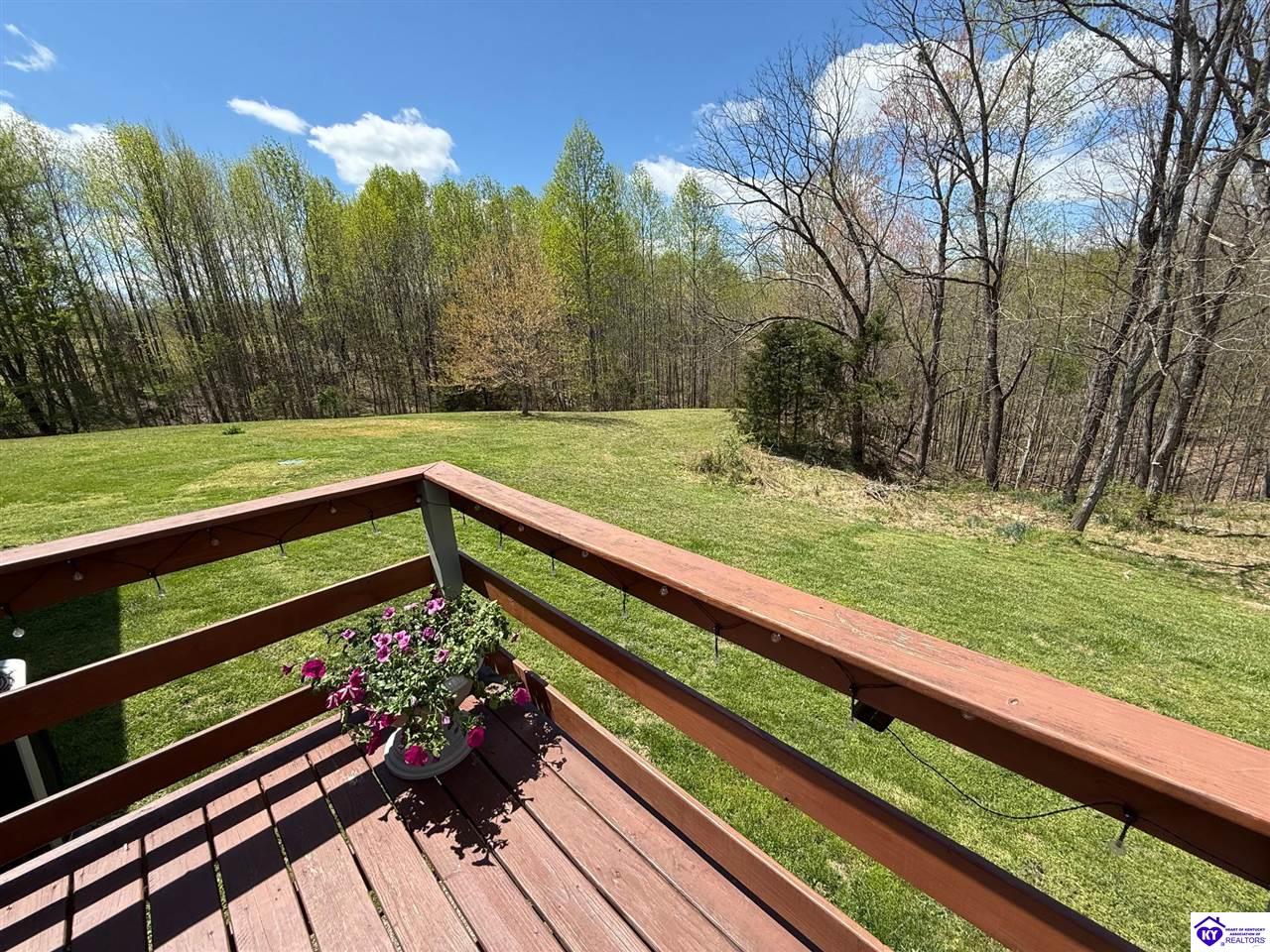 Listing Picture 12781 Hodgenville Road Campbellsville, KY 42718 MLS HK25001755