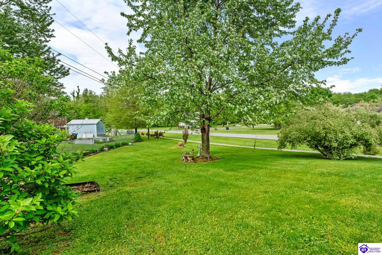 Listing Picture 107 Periwinkle Drive Radcliff, KY 40160 MLS HK25001762