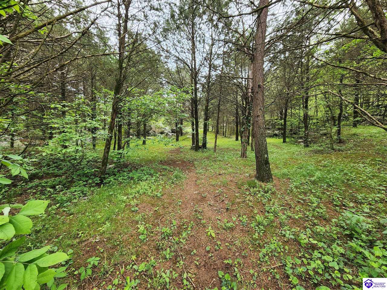 Listing Picture 400 Old Dixie Loop Upton, KY 42784 MLS HK25001771