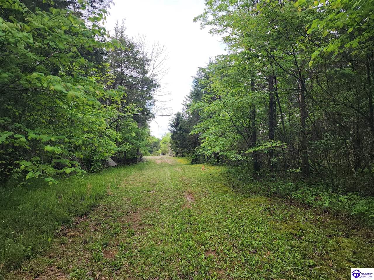 Listing Picture 400 Old Dixie Loop Upton, KY 42784 MLS HK25001771