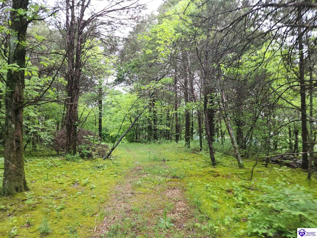 Listing Picture 400 Old Dixie Loop Upton, KY 42784 MLS HK25001771