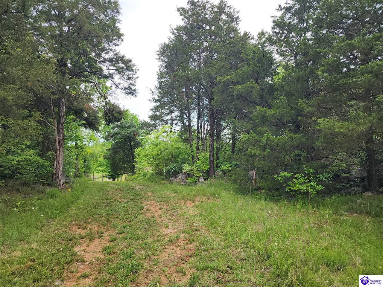 Listing Picture 400 Old Dixie Loop Upton, KY 42784 MLS HK25001771