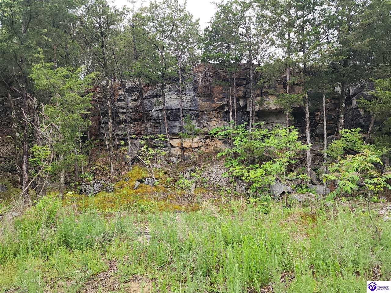 Listing Picture 400 Old Dixie Loop Upton, KY 42784 MLS HK25001771