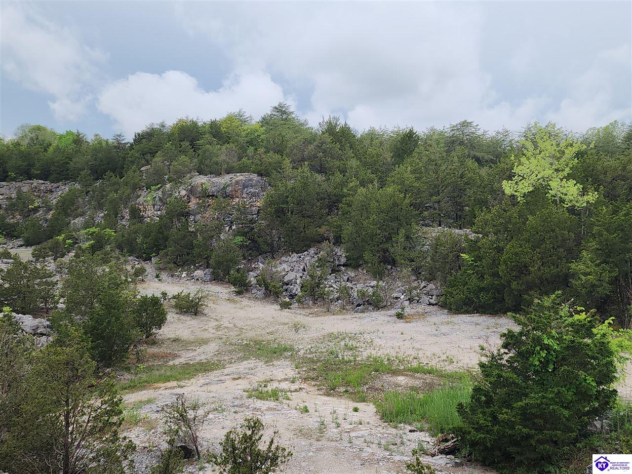 Listing Picture 400 Old Dixie Loop Upton, KY 42784 MLS HK25001771