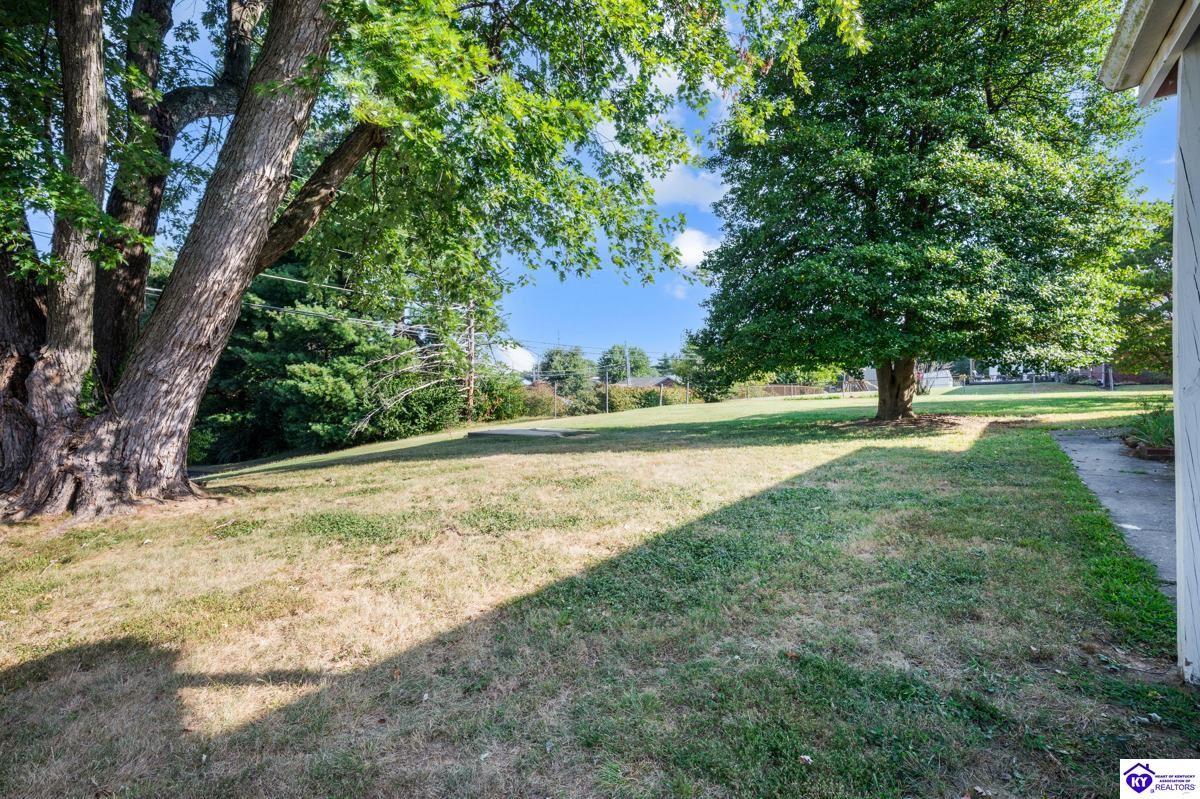 Listing Picture 116 S Mantle Avenue Elizabethtown, KY 42701 MLS HK25001779