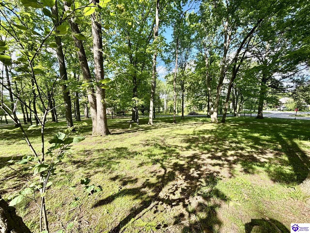 Listing Picture 76 Hearon Road Campbellsville, KY 42718 MLS HK25001782