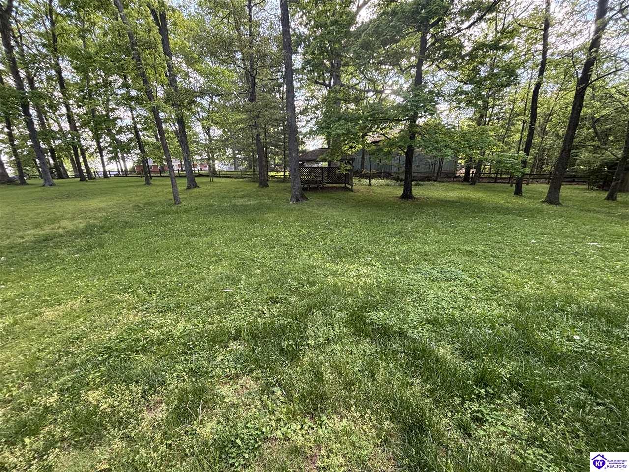 Listing Picture 76 Hearon Road Campbellsville, KY 42718 MLS HK25001782