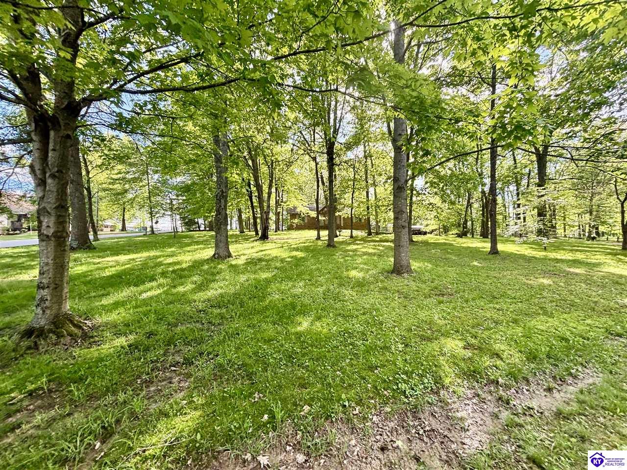 Listing Picture 76 Hearon Road Campbellsville, KY 42718 MLS HK25001782