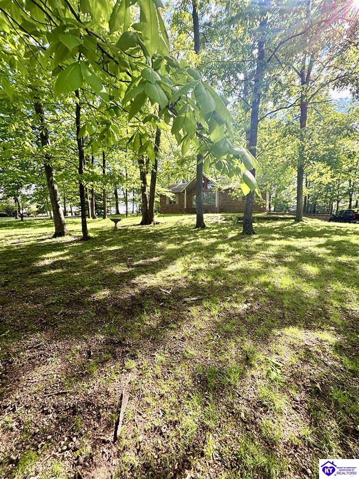 Listing Picture 76 Hearon Road Campbellsville, KY 42718 MLS HK25001782