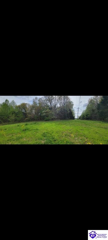 Meeting Creek RoadEastview, KY 42724