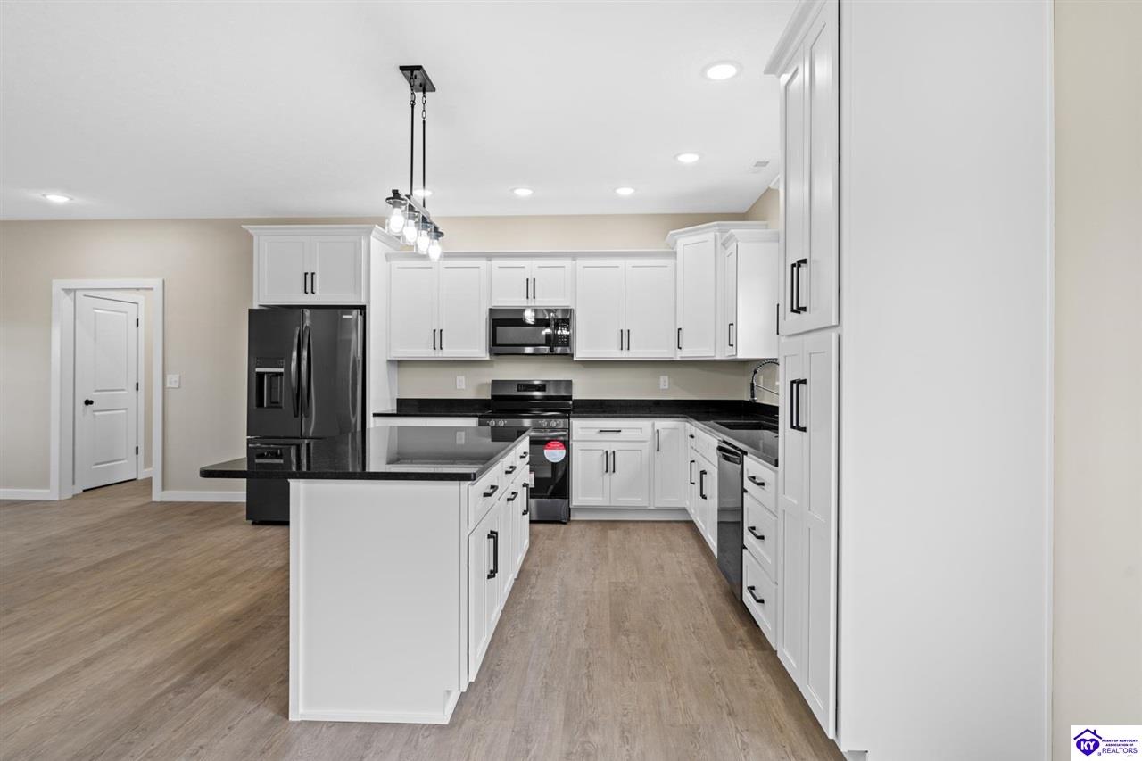 Listing Picture 34 Joyce Court Guston, KY 40142 MLS HK25001786