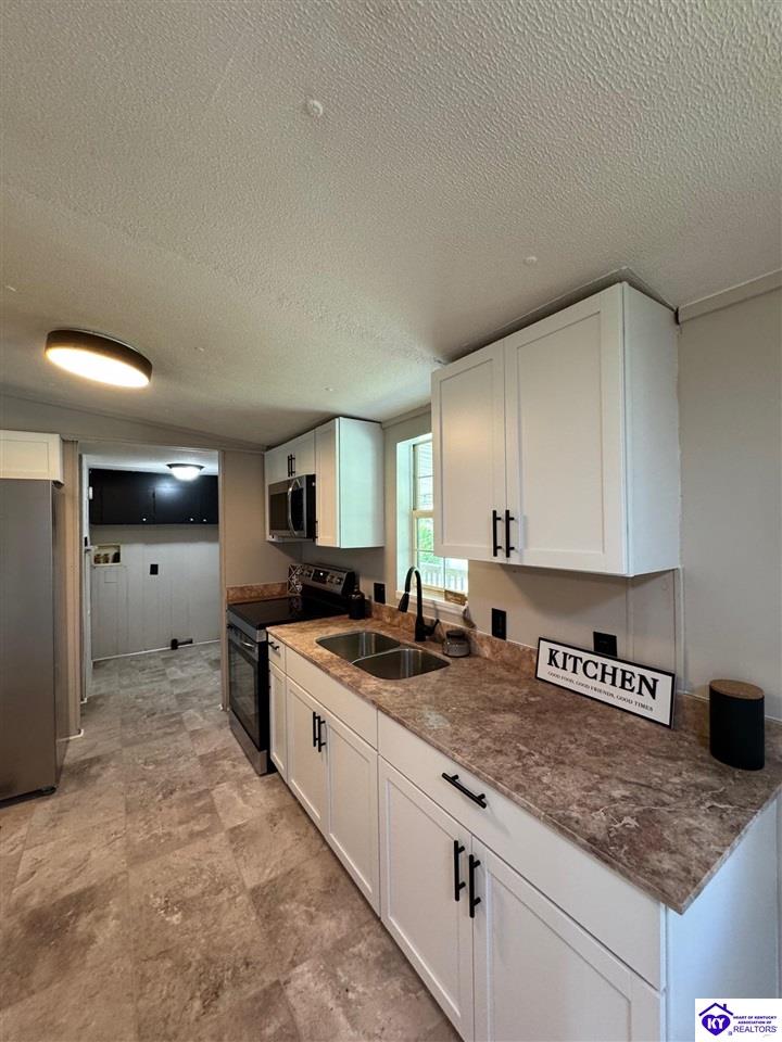 Listing Picture 149 Rineyville Boulevard Rineyville, KY 40162 MLS HK25001788