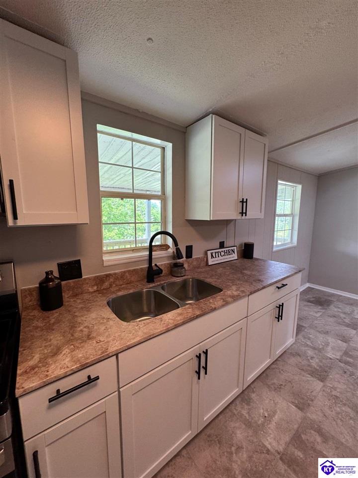 Listing Picture 149 Rineyville Boulevard Rineyville, KY 40162 MLS HK25001788