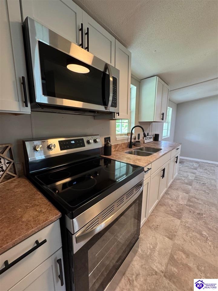 Listing Picture 149 Rineyville Boulevard Rineyville, KY 40162 MLS HK25001788