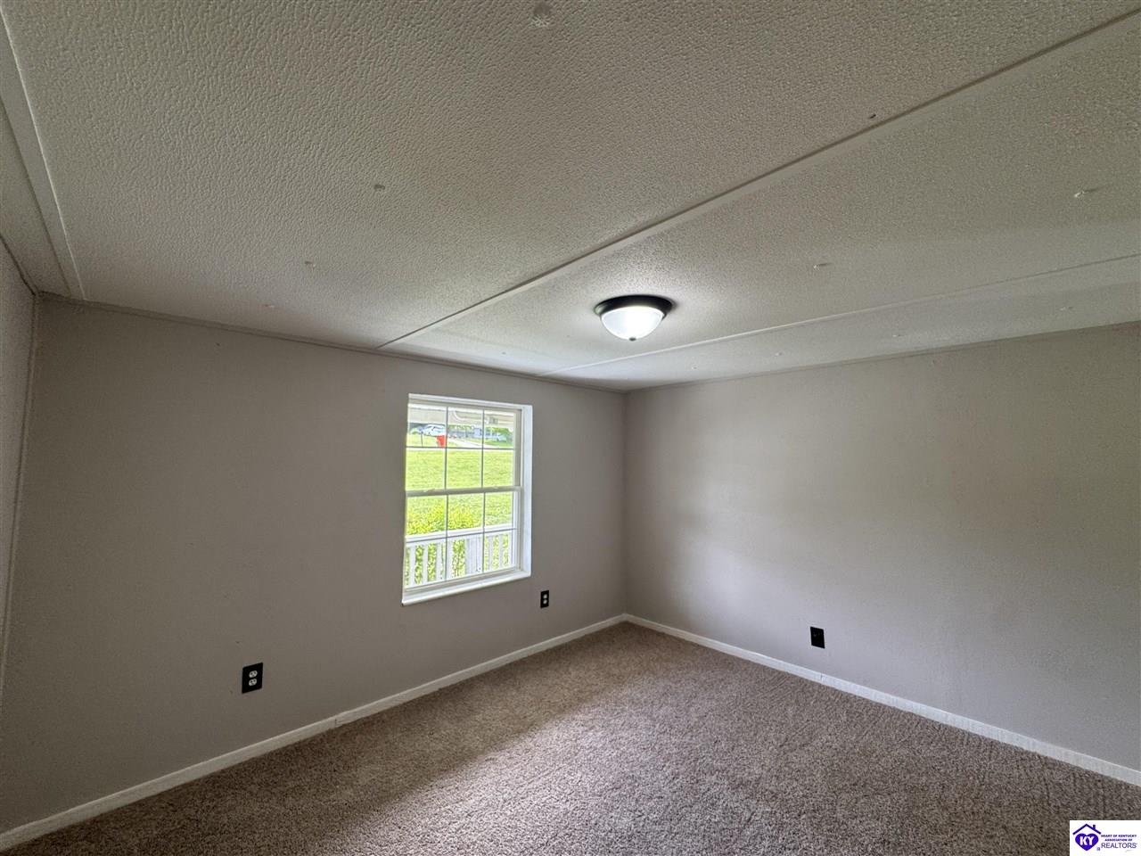 Listing Picture 149 Rineyville Boulevard Rineyville, KY 40162 MLS HK25001788