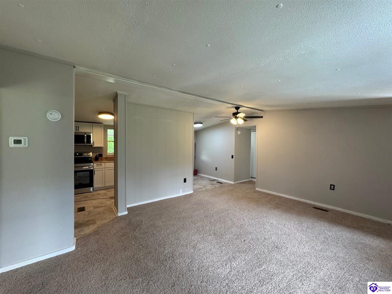 Listing Picture 149 Rineyville Boulevard Rineyville, KY 40162 MLS HK25001788