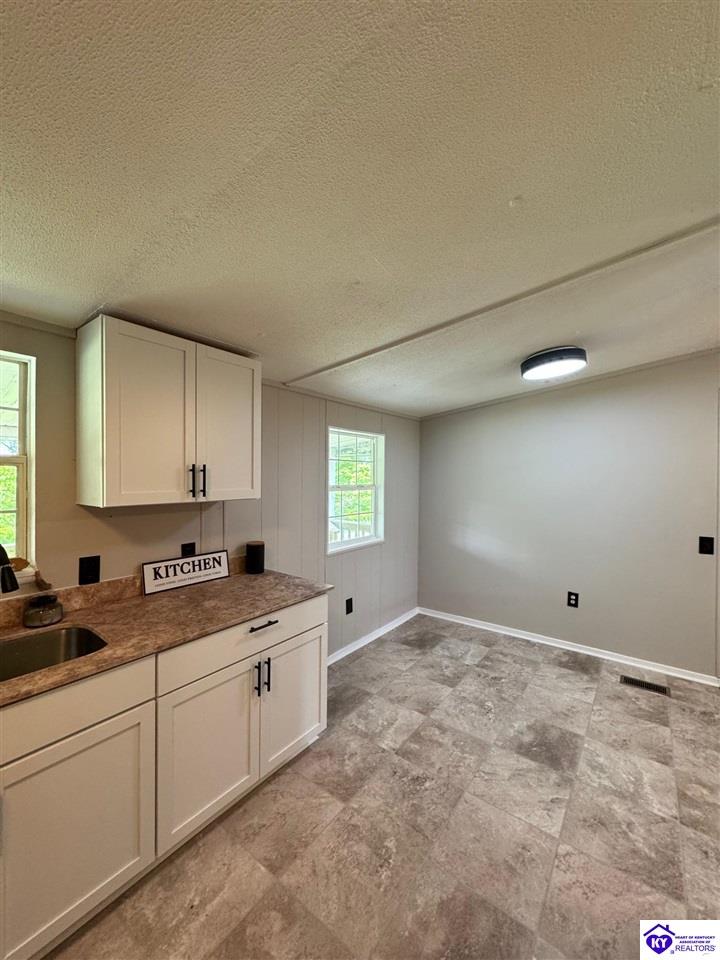 Listing Picture 149 Rineyville Boulevard Rineyville, KY 40162 MLS HK25001788