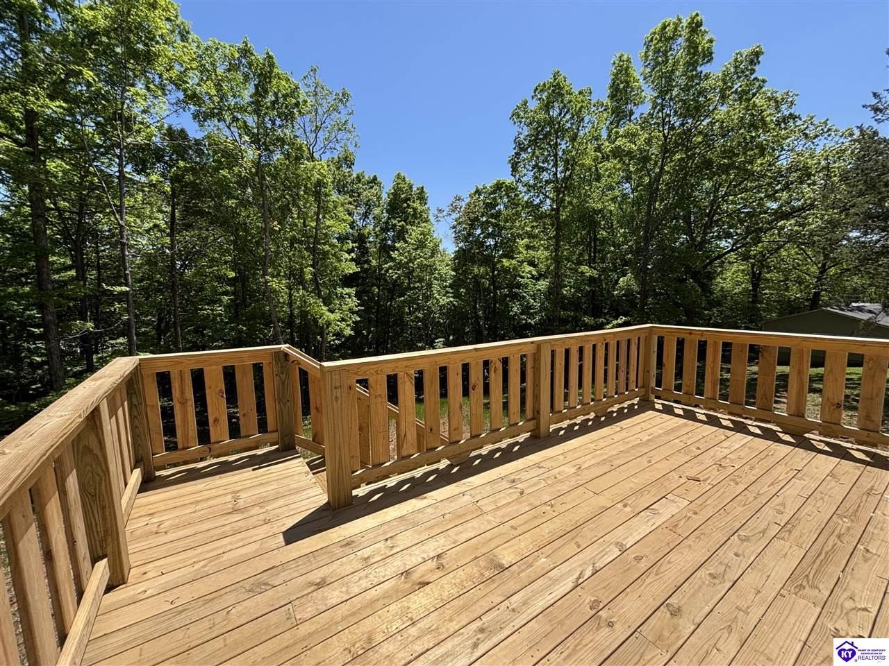 Listing Picture 181 White Pine Lane Brandenburg, KY 40108 MLS HK25001829