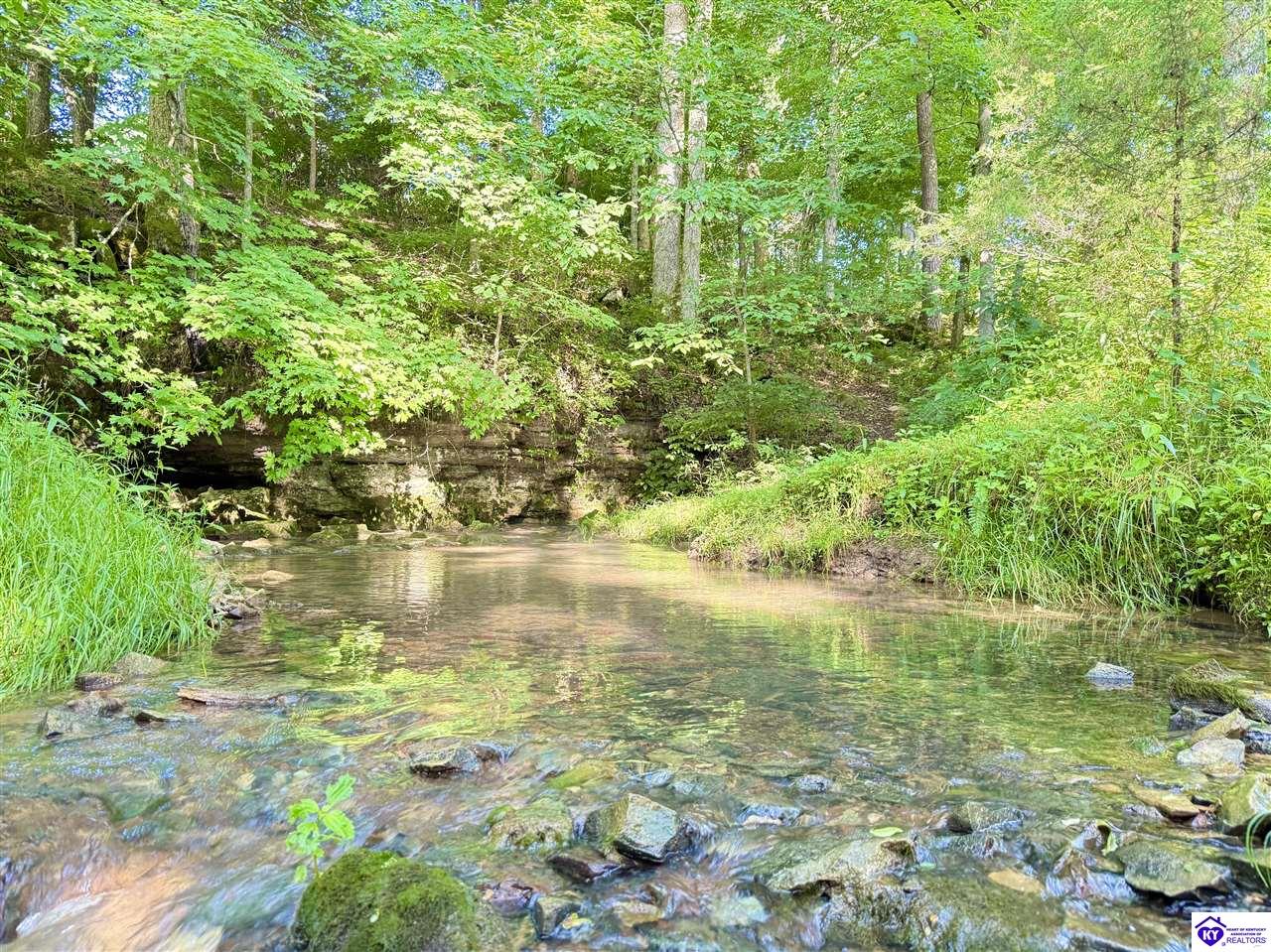 Listing Picture 14332 St John Road Rineyville, KY 40162 MLS HK25001837