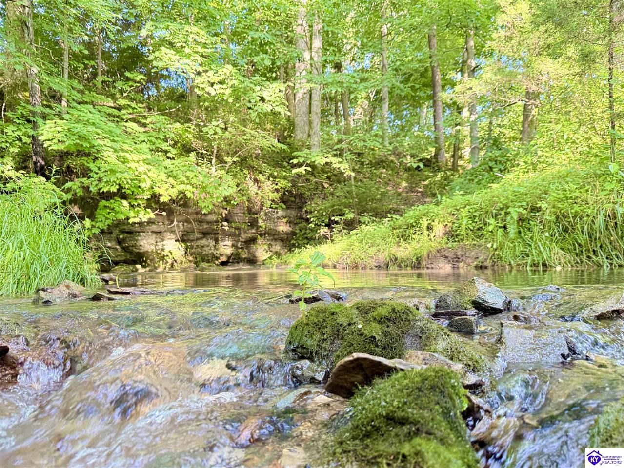 Listing Picture 14332 St John Road Rineyville, KY 40162 MLS HK25001837