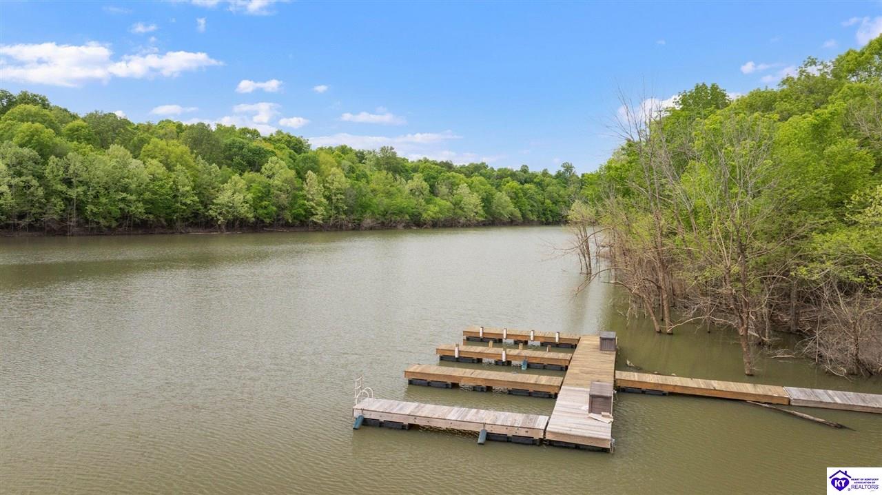 Listing Picture 374 Christopher Lane Leitchfield, KY 42754 MLS HK25001899