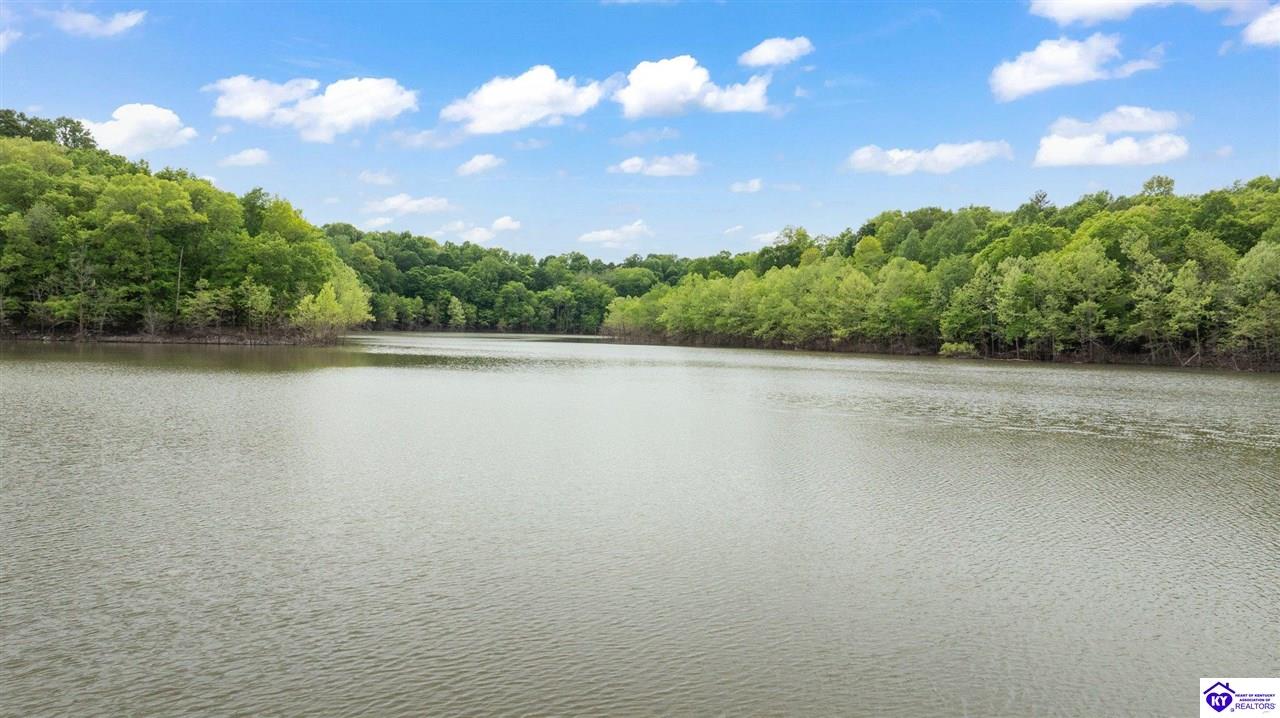 Listing Picture 374 Christopher Lane Leitchfield, KY 42754 MLS HK25001899