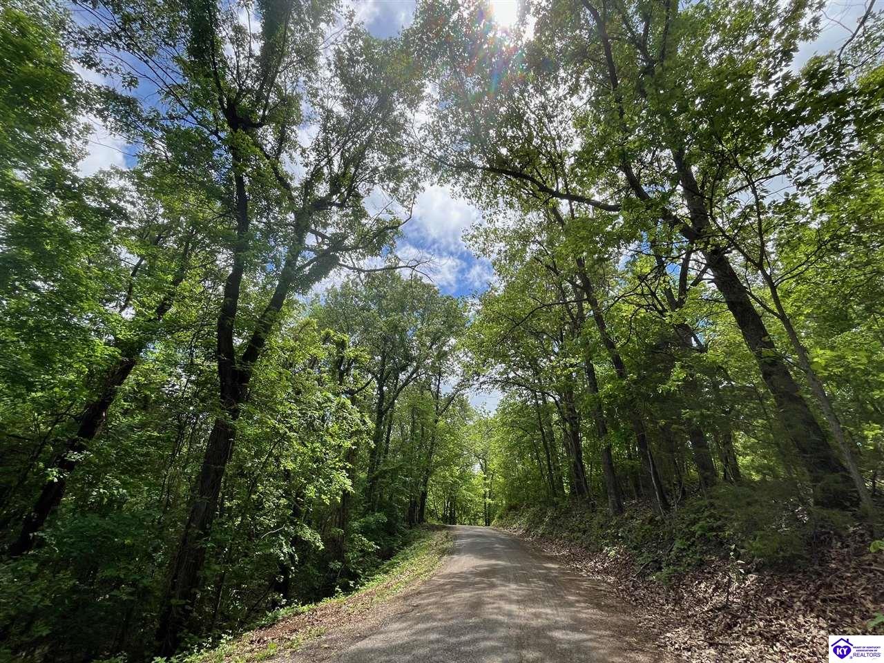 AC Rocky Hill RoadBonnieville, KY 42713