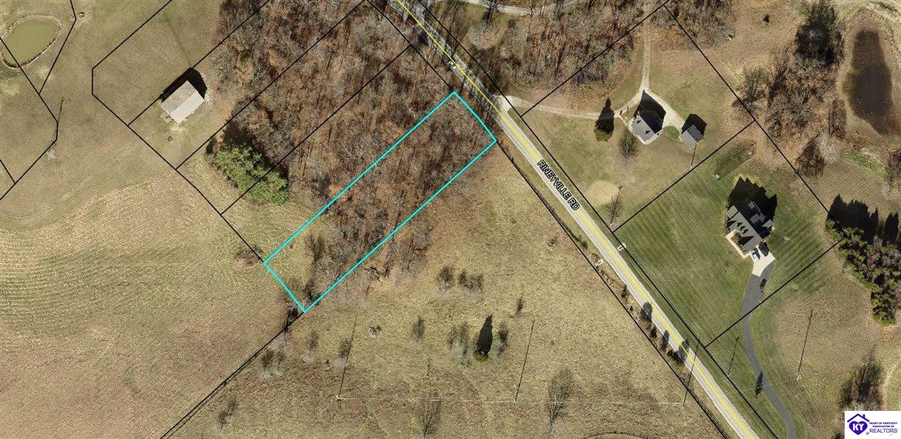 Lot 11 Rineyville RoadRineyville, KY 40162