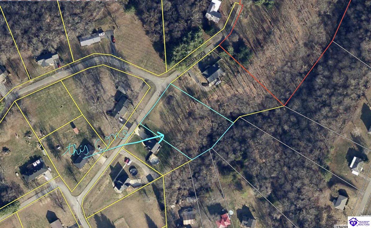 144 White Pine CircleCampbellsville, KY 42718