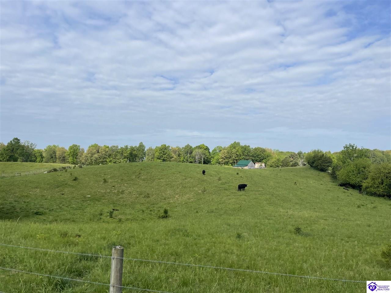 Listing Picture 661 Lanny Heath Road Upton, KY 42784 MLS HK25001988