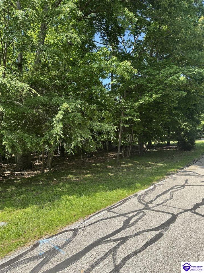 Lot 246 Pine Point DriveBrandenburg, KY 40108
