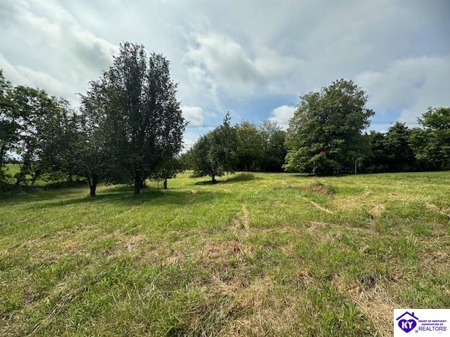 2A Rogersville RoadRadcliff, KY 40160