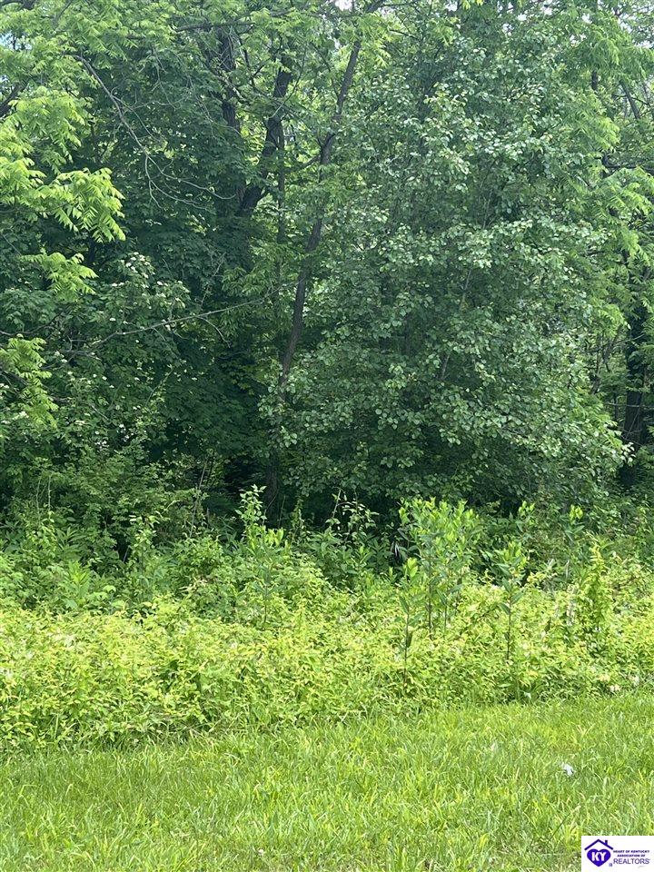 Lot 908 Primrose LaneBrandenburg, KY 40108