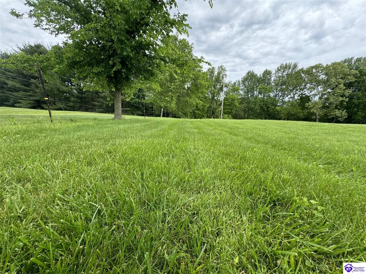 3710 Whitewood RoadGreensburg, KY 42718