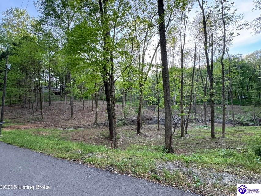 Lot 44A Walleye WayScottsville, KY 42164