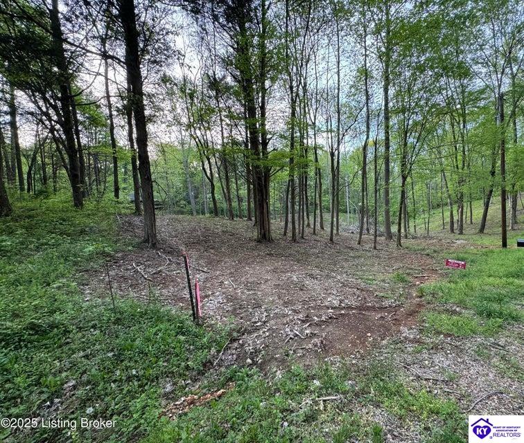 lot 45A Walleye WayScottsville, KY 42164