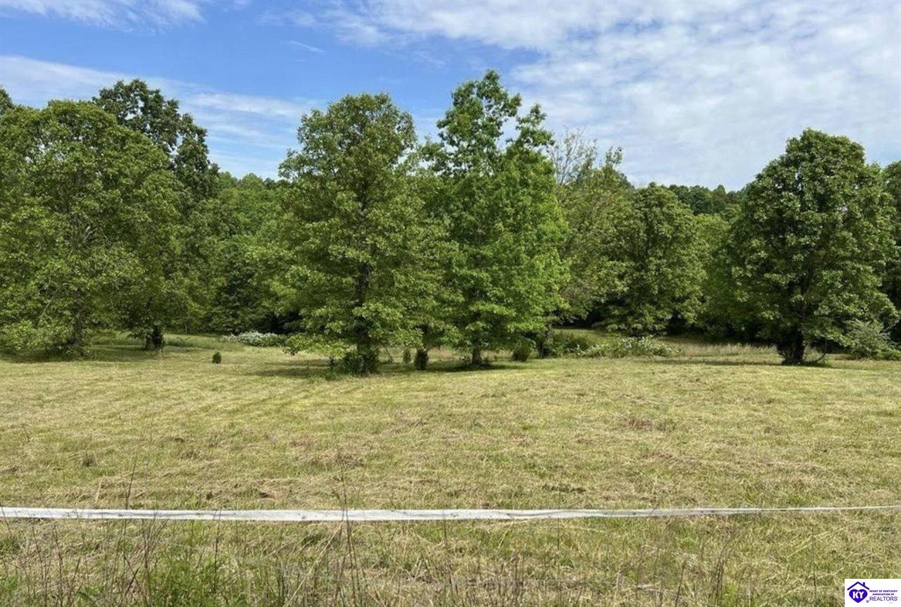Lot 1 Constantine RoadCecilia, KY 42724