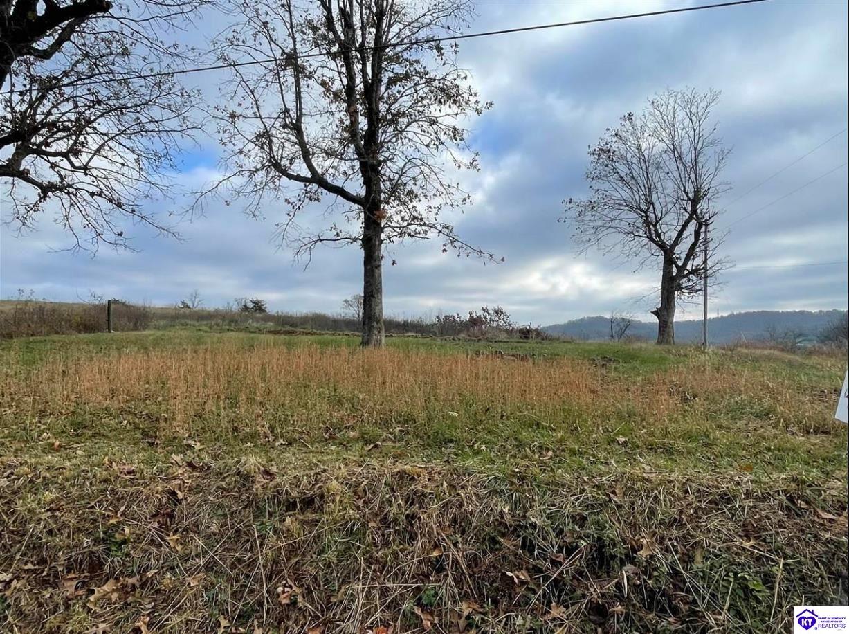 Lot 4B London Pace Sink RoadHorse Cave, KY 42749