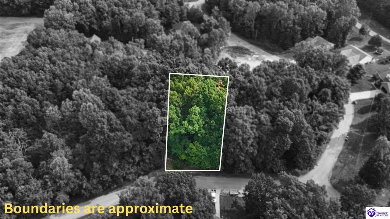 Lot 213 Bobwhite Road Brandenburg, KY 40108 #1
