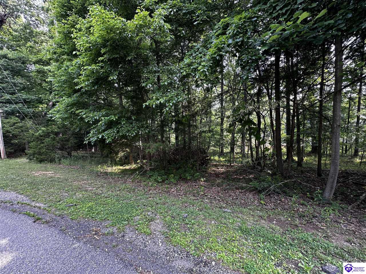 Lot 213 Bobwhite Road Brandenburg, KY 40108 #2