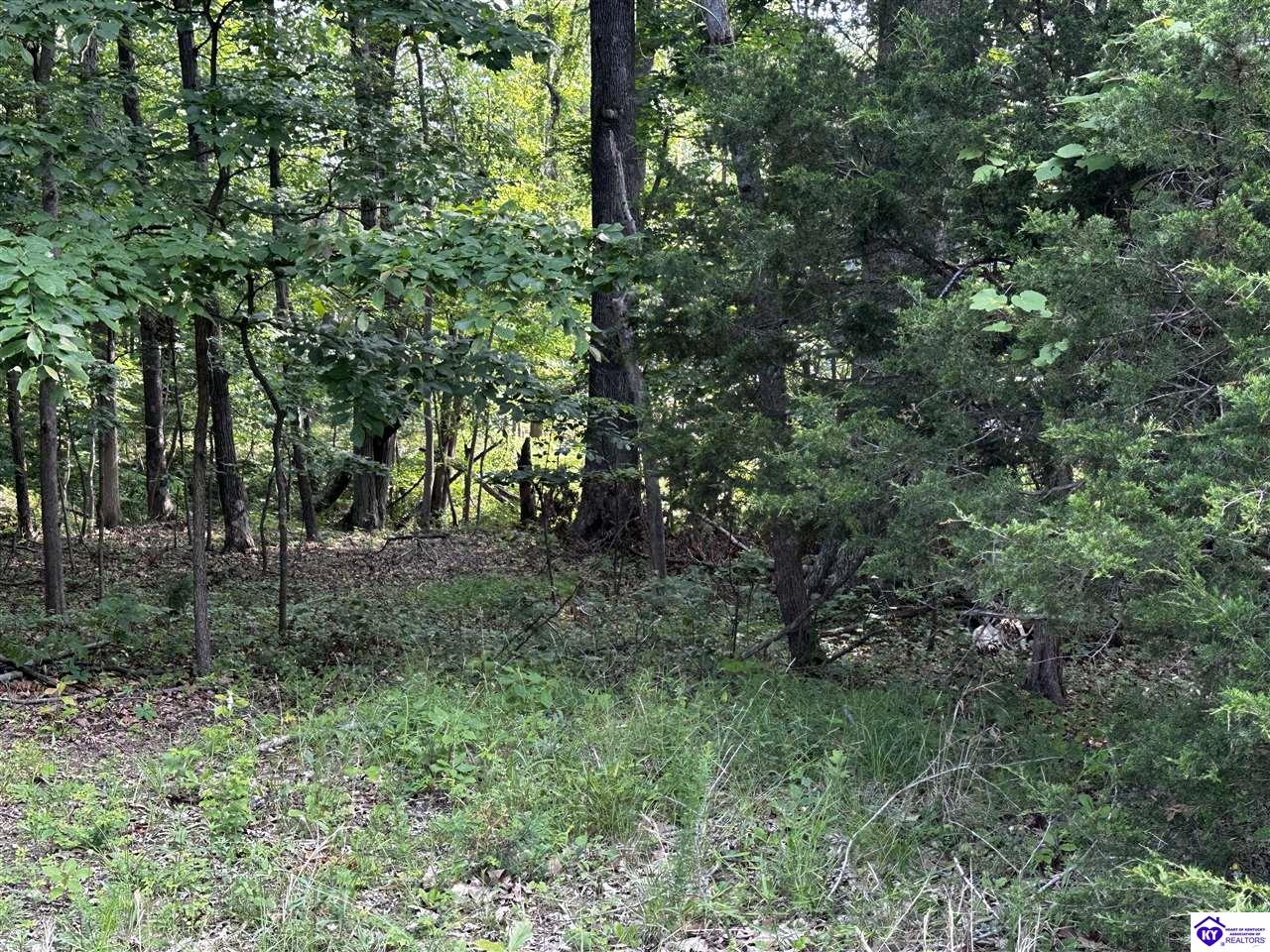 Lot 213 Bobwhite Road Brandenburg, KY 40108 #3